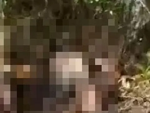 Tá hoả phát hiện thi thể phân hủy mạnh sau vườn nhà