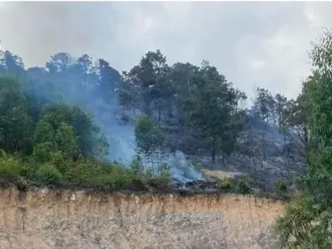 Cháy rừng ở Quảng Ninh, hai người tử vong