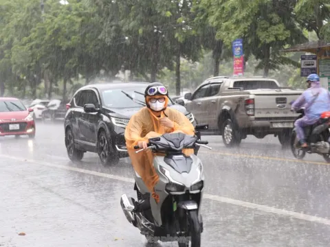 Mưa 'vàng' hạ nhiệt 'chảo lửa' thành Vinh