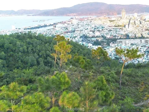 Bình Định chấm dứt hoạt động dự án Khu du lịch và biệt thự sinh thái núi Bà Hỏa