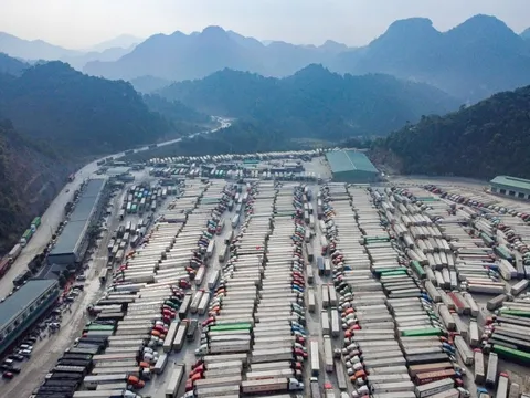 Báo cáo Thủ tướng kết quả làm việc với Trung Quốc về ùn tắc nông sản