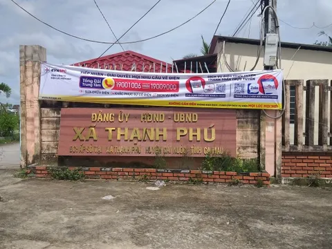 Kỷ luật Đảng phó chủ tịch xã vi phạm giao thông khai là 'lao động tự do'