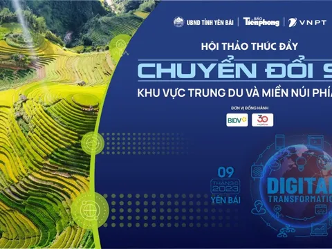Đánh thức nhiều tiềm năng