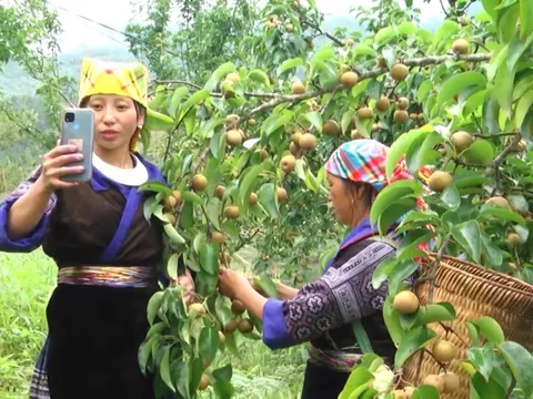 Yên Bái và những cơ hội thúc đẩy chuyển đổi số