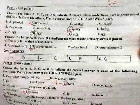 Sở GD&ĐT Kon Tum báo cáo vụ nghi lộ đề thi tiếng Anh lớp 10