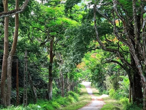 Vườn quốc gia nào của Việt Nam từng lọt top hàng đầu châu Á?