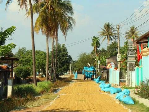 Chuyện miền biên viễn: Huyền thoại mùa vàng vùng biên