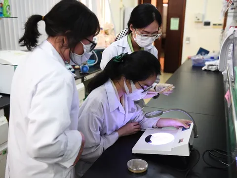 Hai trường đại học thành viên ĐHQG TPHCM công bố điểm chuẩn xét tuyển sớm