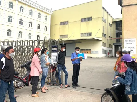 Tìm “cần câu” cho người thất nghiệp