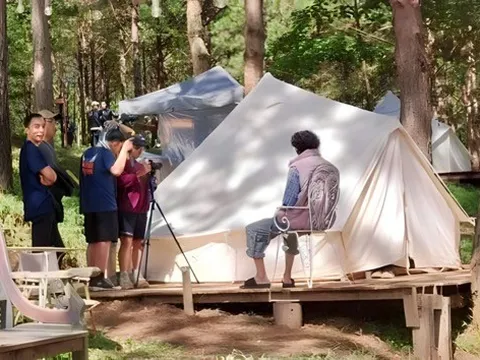 Đêm nhạc giữa rừng thông Đà Lạt bị buộc dừng, ban tổ chức nói gì?