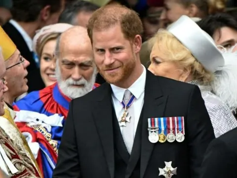 Harry bị chỉ trích