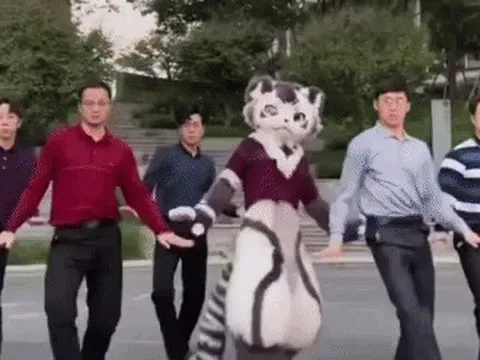 Ca khúc Việt về miệt thị ngoại hình đang gây bão TikTok Trung Quốc