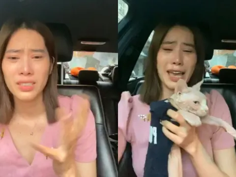 Nghệ sĩ Việt trả giá vì vạ miệng