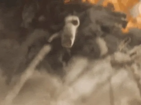 ‘Dune 2': Bom tấn hoành tráng, cứu cả Hollywood đang thoái trào