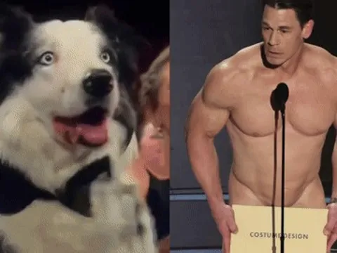 Khoảnh khắc ấn tượng ở Oscar 2024