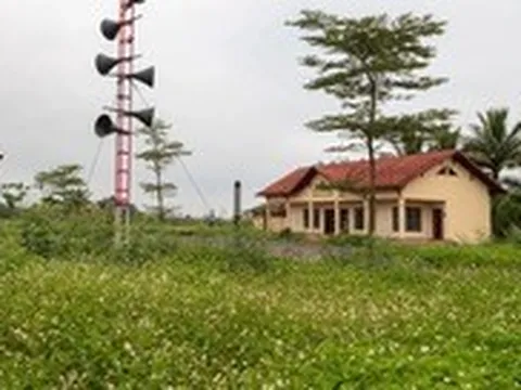 Cỏ dại mọc ngập di tích quốc gia đặc biệt Hiền Lương - Bến Hải