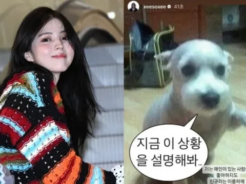 Chú chó trong bức ảnh Han So Hee đá xéo Hyeri bất ngờ nổi tiếng