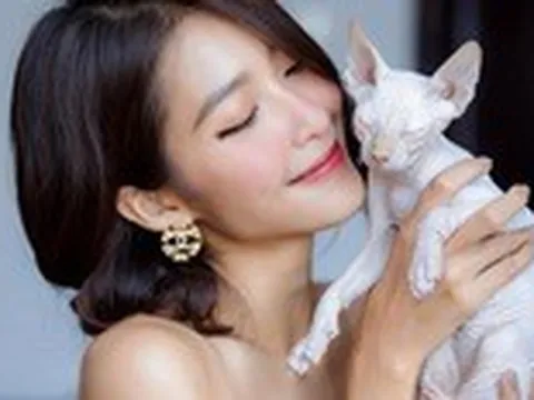 Đan Trường, Trọng Tấn mê mèo Bengal, Khả Ngân và Ngô Kiến Huy thích Sphynx