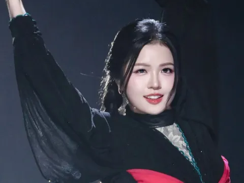 Suni Hạ Linh có đang sai lầm?