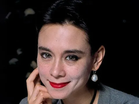 Cái kết buồn của mỹ nhân đẹp hơn Lâm Thanh Hà