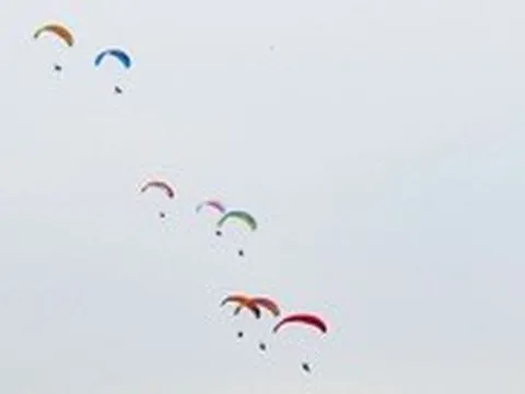 Hải Phòng một ngày kêu gọi được 22 tỉ đồng cho Lễ hội Hoa Phượng Đỏ