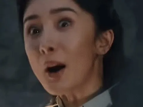 Dương Mịch diễn tệ