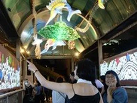 Cầu đi bộ Trần Nhật Duật hóa thủy cung rực rỡ, nối trong phố ngoài đê Hà Nội