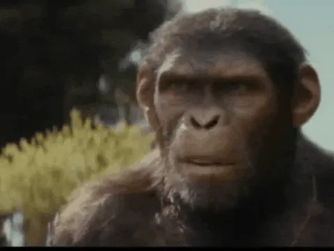 Bom tấn cản đường 'Lật mặt' của Lý Hải