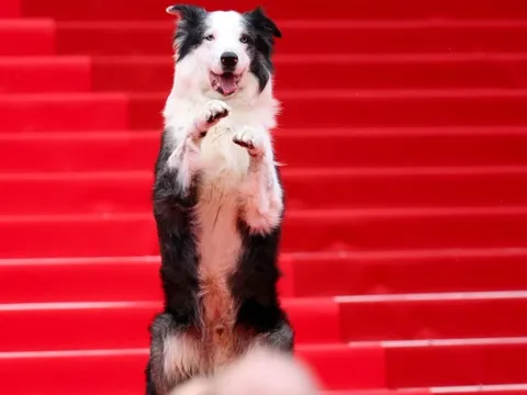 Có một Messi khác trên thảm đỏ Cannes