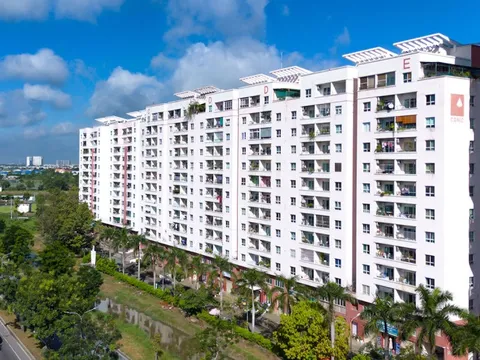 Ban quản trị chung cư bị phạt gần 120 tỷ đồng