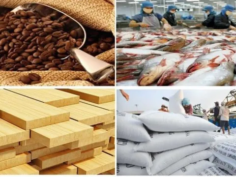 Trước áp lực thuế từ Hoa Kỳ, xuất khẩu nông, lâm, thủy sản vẫn tăng trưởng