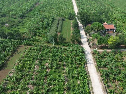 Hà Nội: Rút gọn quy trình về đất đai và không thu phí để xóa nhà tạm, nhà dột nát