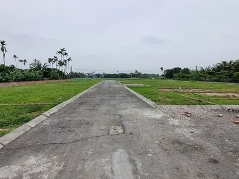 Giá đất nền tăng do yếu tố đầu cơ từ thông tin sáp nhập?