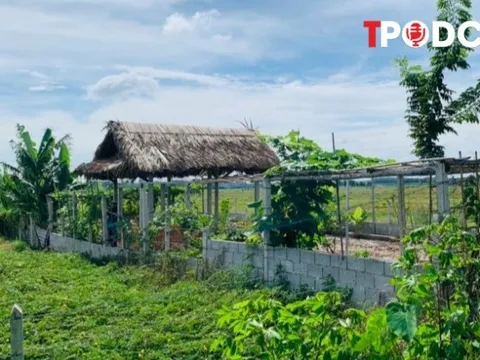 Các khoản phí phải nộp khi chuyển đổi đất vườn lên đất thổ cư năm 2025 người dân cần biết