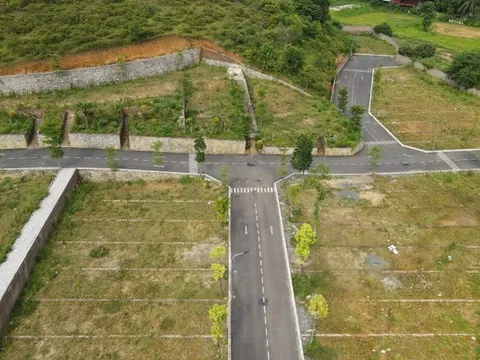 Đất huyện ngoại thành Hà Nội đấu giá cao nhất gần 181 triệu đồng/m2