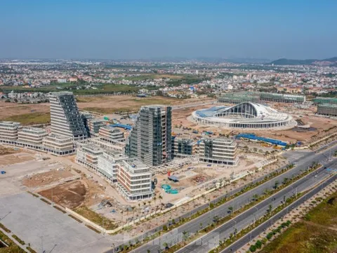 Hải Phòng dừng chuyển đổi mục đích đất ở với hộ gia đình, cá nhân