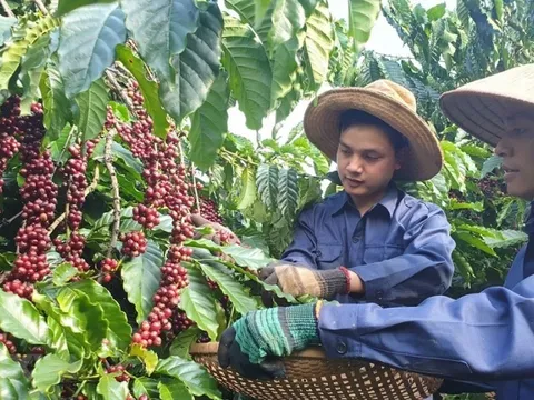 Xuất khẩu sang Tây Ban Nha thời gian tới sẽ gặp nhiều khó khăn