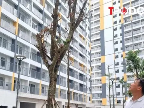 Đề xuất không thu quá 95% giá nhà ở xã hội trước khi cấp sổ đỏ