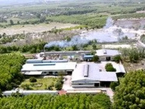 Dân phản ánh nhà máy bột cá gây mùi hôi nồng nặc, chính quyền nói gì?