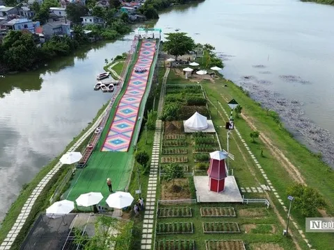 Bị xử phạt hơn 5 tháng, chủ nông trại vẫn không tháo dỡ công trình