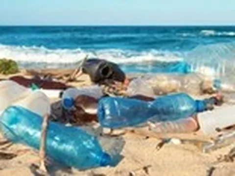 Giảm rác thải nhựa cần thực chất hơn