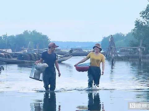 Ảnh: Bình yên sáng sớm ở chợ cá ven phá Tam Giang