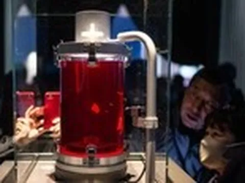 Expo Osaka 2025 - Những tương lai nhân loại - Kỳ 2: Y học tái sinh và giấc mơ trường thọ