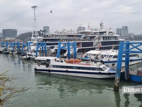 Quảng Ninh tạm dừng cấp phép tàu du lịch hoạt động trên vịnh Hạ Long