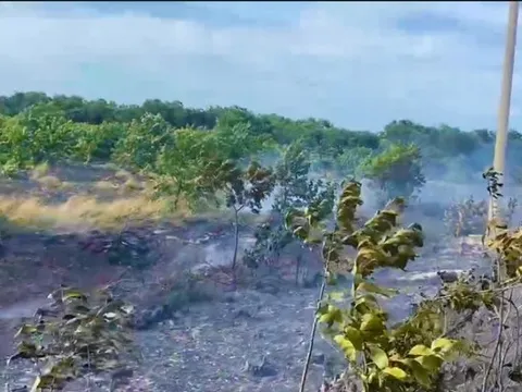 Huy động gần 400 người tham gia chữa cháy 9ha rừng trồng ở Huế