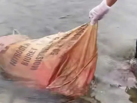 Quảng Trị: Người dân bức xúc vì xác heo chết vứt ở suối