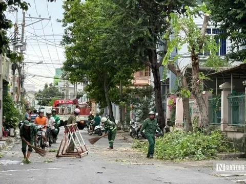 Lâm Đồng: Lốc xoáy cuốn phăng hàng chục mái nhà, cây cối đổ la liệt
