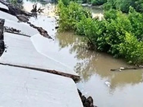 Một xã ở Cà Mau xảy ra 23 vụ sạt lở đất