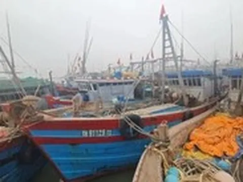 Thanh Hóa cấm biển từ 8h ngày 21-7, hàng nghìn tàu cá đã vào bờ