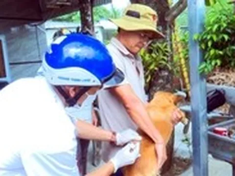 Ăn thịt chó dữ, năm người ở Đồng Nai phơi nhiễm bệnh dại